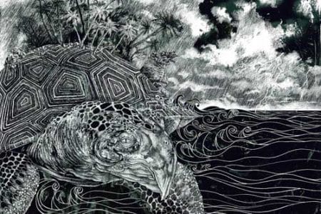 Aspidochelone, el mito de la isla viviente Aspidochelone, el mito de la isla viviente