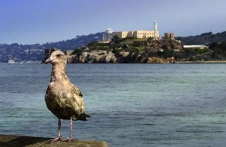El misterio de la fuga de Alcatraz