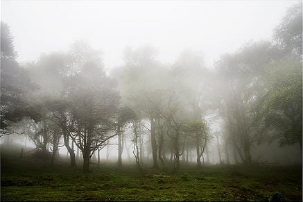 Xuan de la Borrina, pastor de la niebla