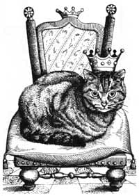 Rey de los Gatos
