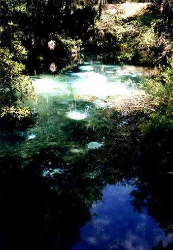 Fuente de la Eterna Juventud