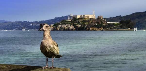 La isla de Alcatraz