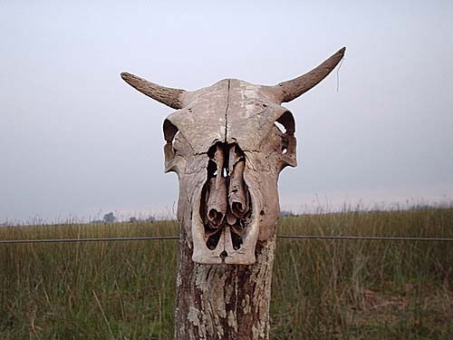 La luz mala, creencia de gauchos